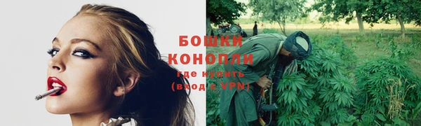 молекула духа Балабаново