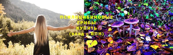spice Балахна