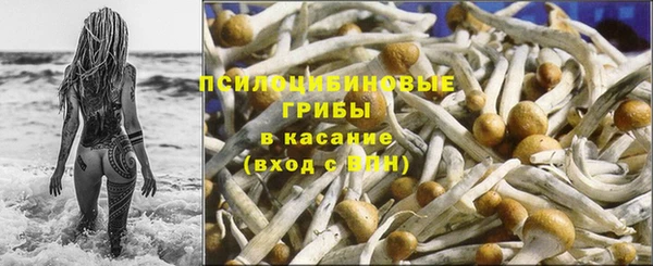 гашик Саяногорск
