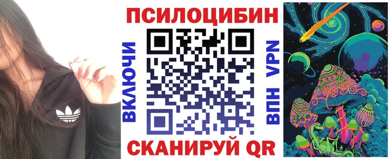 ОМГ ОМГ зеркало  Чусовой  Псилоцибиновые грибы Cubensis 